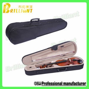 Custom Guitar Bag/Musical Instrument Case (0240)